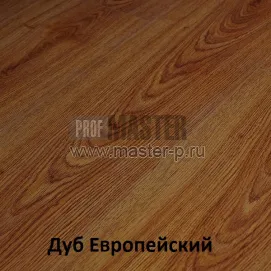 Дуб европейский